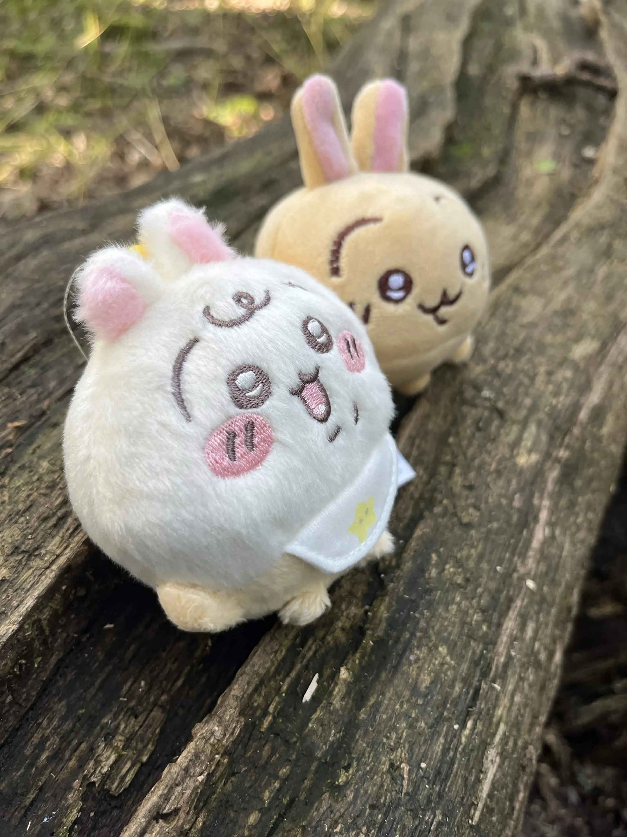 Baby Usagi